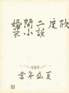 婚开二度欣欣向荣小说