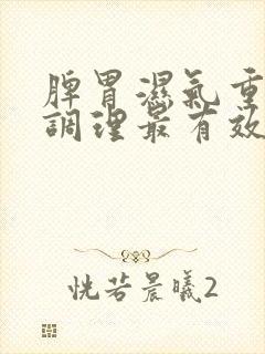 脾胃湿气重如何调理最有效