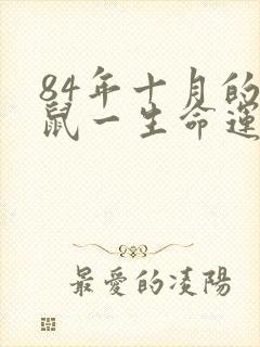 84年十月的女鼠一生命运