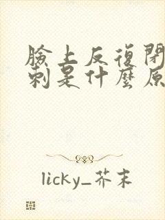 脸上反复闭口粉刺是什么原因