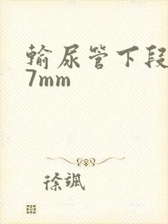 输尿管下段结石7mm