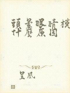 头晕眼睛模糊是什么原因