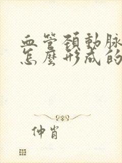 血管颈动脉斑块怎么形成的