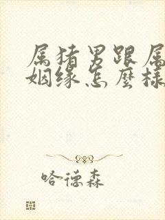 属猪男跟属兔女姻缘怎么样