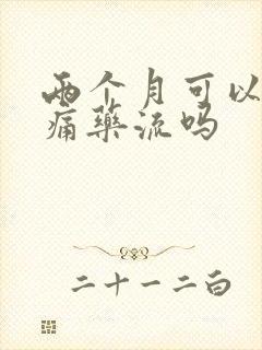 两个月可以做无痛药流吗