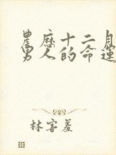 农历十二月属羊男人的命运封面