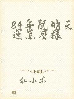 84年鼠明天财运怎么样