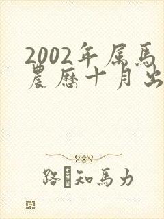 2002年属马农历十月出生什么命