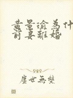 黄景瑜为什么和前妻离婚