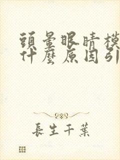 头晕眼睛模糊是什么原因引起的封面