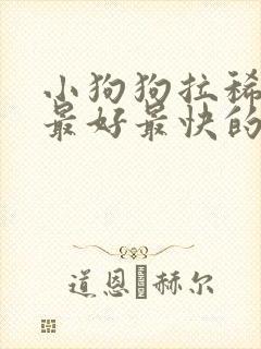 小狗狗拉稀带血最好最快的特效药