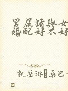 男属猪与女属兔婚配好不好封面