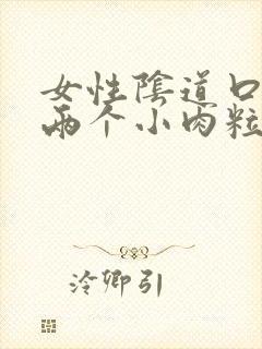 女性阴道口起了两个小肉粒怎么办