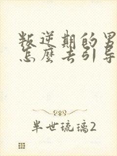 叛逆期的男孩子怎么去引导初中生封面