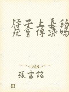 脖子上长的丝状疣会传染吗