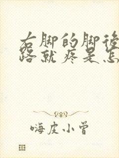 右脚的脚后跟走路就疼是怎么回事封面