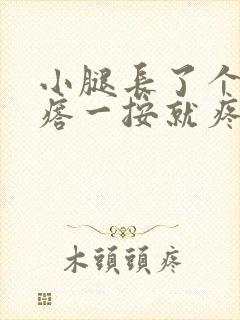 小腿长了个硬疙瘩一按就疼