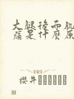 大腿后面肌肉酸痛是什么原因