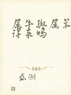 属牛与属羊的合得来吗