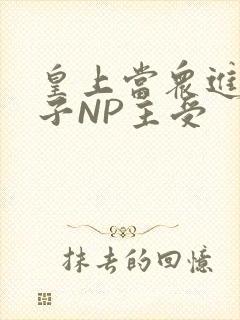 皇上当众进入太子NP主受