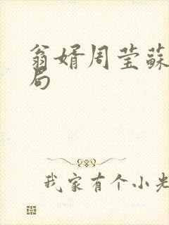 翁婿周莹苏婉结局