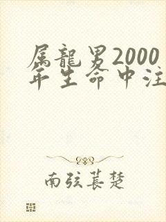 属龙男2000年生命中注定的姻缘
