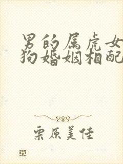 男的属虎女的属狗婚姻相配吗封面