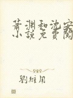 萧渊和沈安安的小说免费阅读