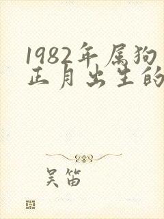 1982年属狗正月出生的命运怎么样封面