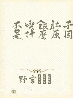 不吃饭肚子都胀是什么原因