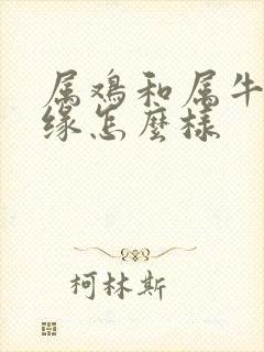 属鸡和属牛的姻缘怎么样