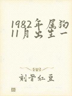 1982年属狗11月出生一生命运封面