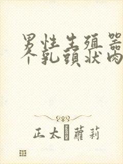 男性生殖器长出个乳头状肉疙瘩