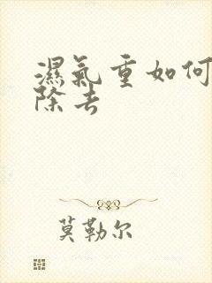 湿气重如何快速除去