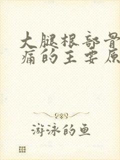 大腿根部骨头疼痛的主要原因