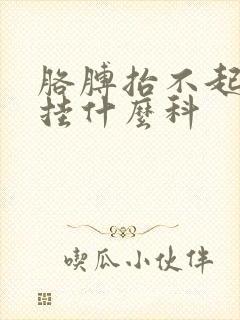 胳膊抬不起来疼挂什么科