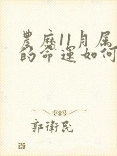 农历11月属马的命运如何