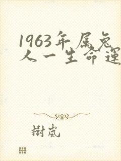 1963年属兔人一生命运如何