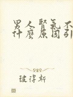 男人肾气不足是什么原因引起的