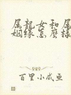 属龙女和属兔男姻缘怎么样