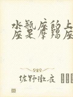 水瓶座的上升星座是摩羯座怎么样