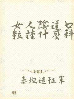 女人阴道口有肉粒挂什么科封面