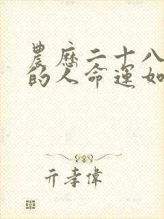 农历二十八出生的人命运如何