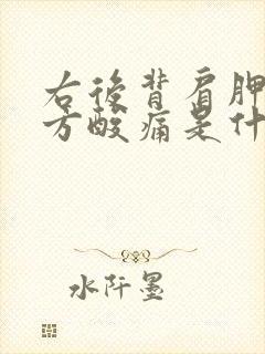 右后背肩胛骨下方酸痛是什么原因