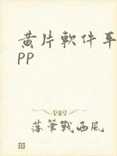 黄片软件平台app