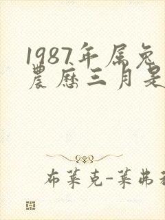 1987年属兔农历三月是什么命