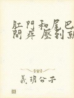 肛门和尾巴骨中间疼 压到就疼