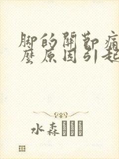 脚的关节痛是什么原因引起的