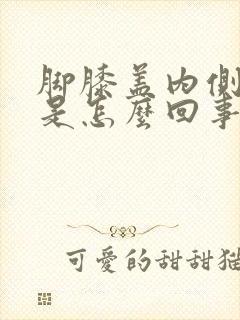 脚膝盖内侧筋疼是怎么回事封面