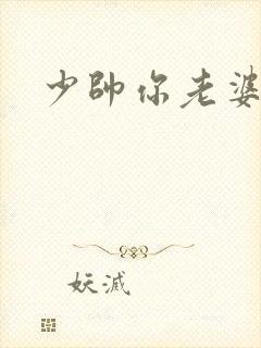 少帅你老婆